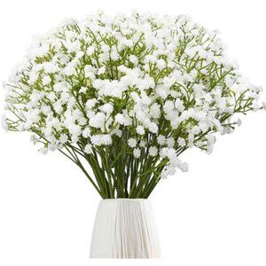 Baby's Breath Flowers Inch Bulk Stems